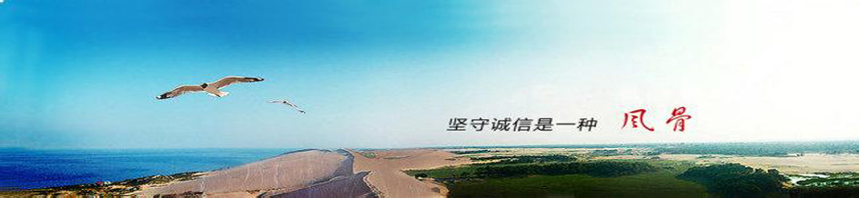 精密滤芯